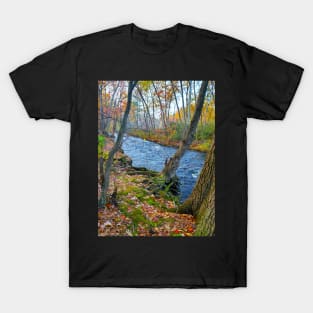 Magical River T-Shirt